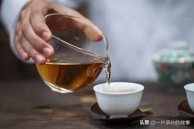 茶等懂它的人，人等倾心的茶