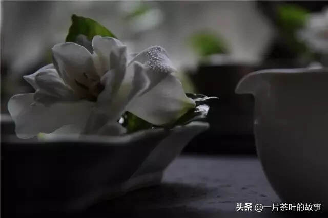 一个人喝茶，享受寂寞