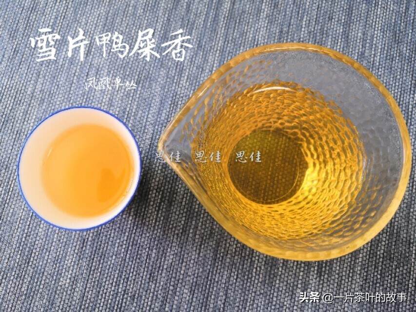 有一种茶香，叫鸭屎香