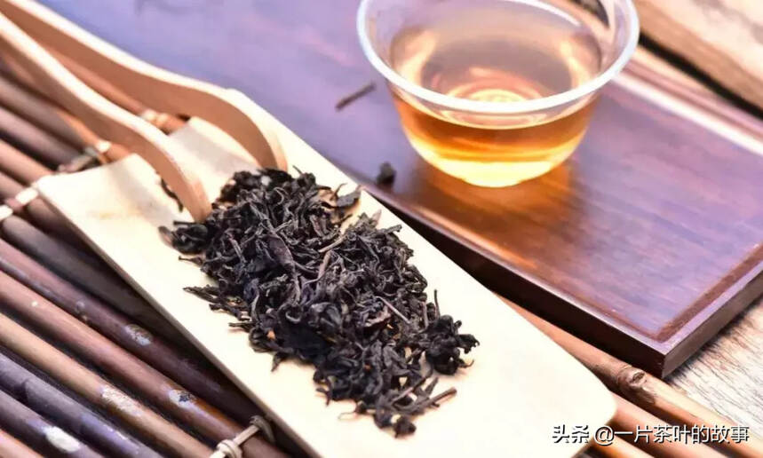 初入茶圈，听不懂茶人间高大上的对话怎么办？