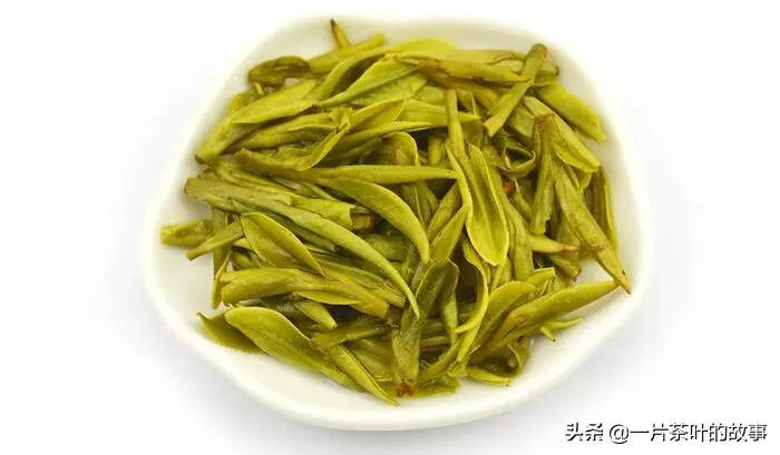 绿茶故事 | 简单分辨绿茶的好坏