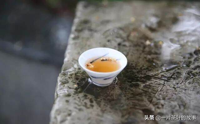 专家教你20条买茶经验（茶人必看）