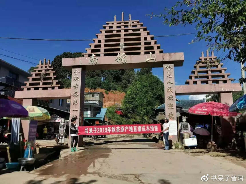 「游记」书呆子2019秋茶茶山行第四站南糯山神秘古茶林