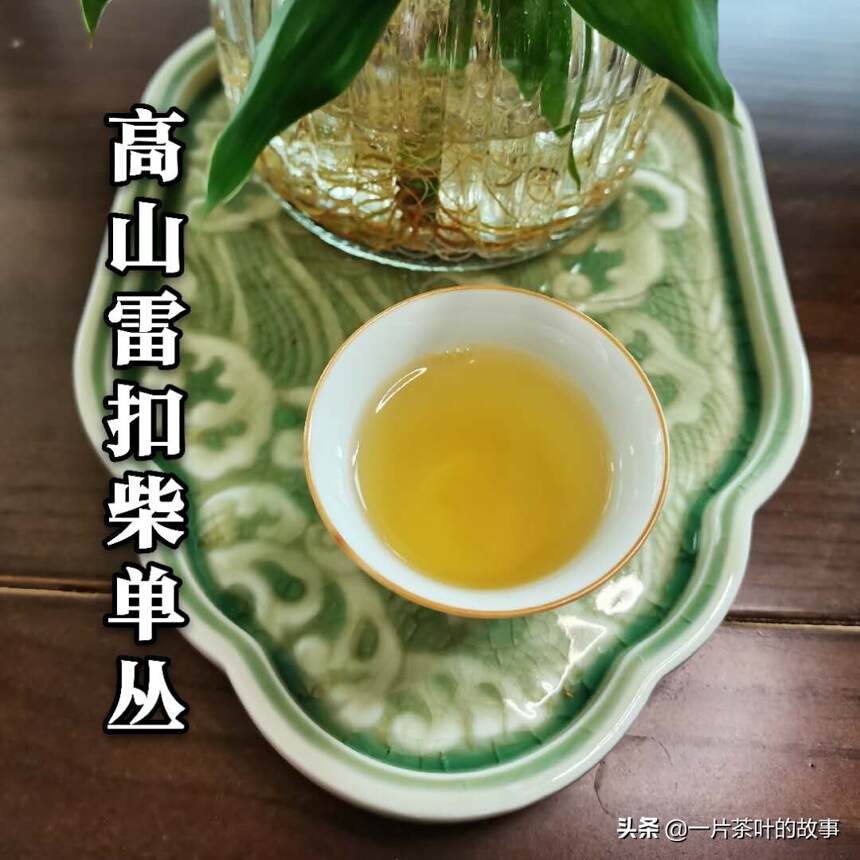 潮州工夫茶，乌龙茶之凤凰单丛