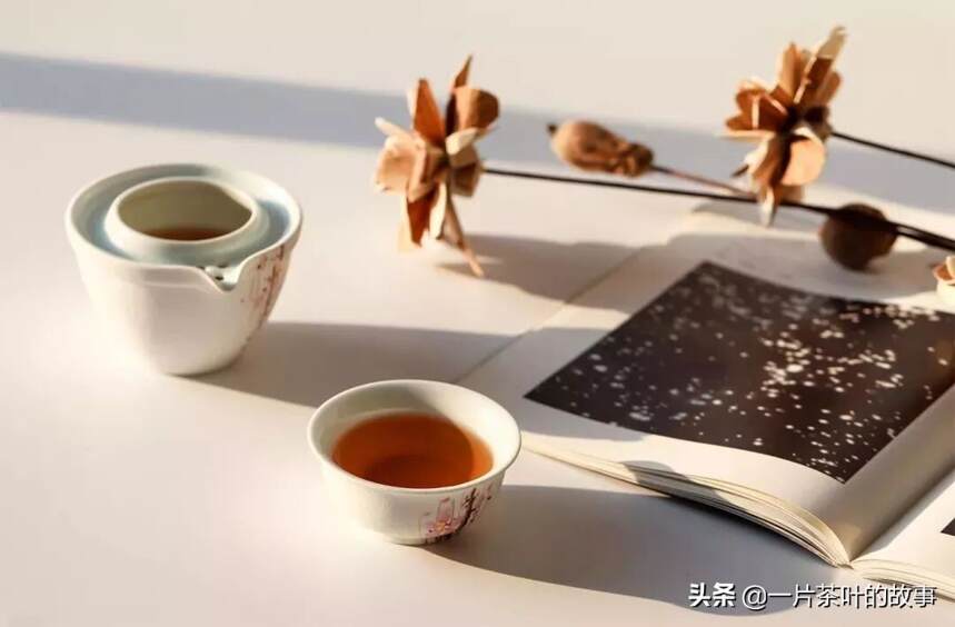 你分得清茶汤的“浓淡度”和“饱满度”吗？