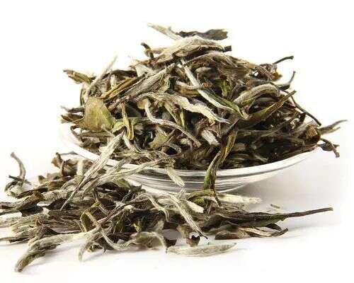 安吉白茶是绿茶，政和白茶是白茶，怎么分？何为白茶？白牡丹也是一款茶