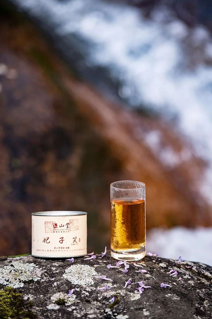 母亲节｜以茶传心，为爱升温