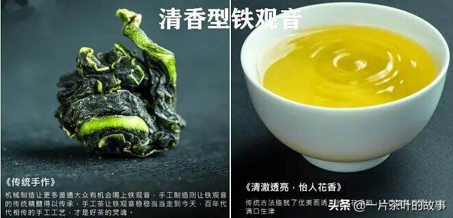 只要一张图，看懂六大茶类风味