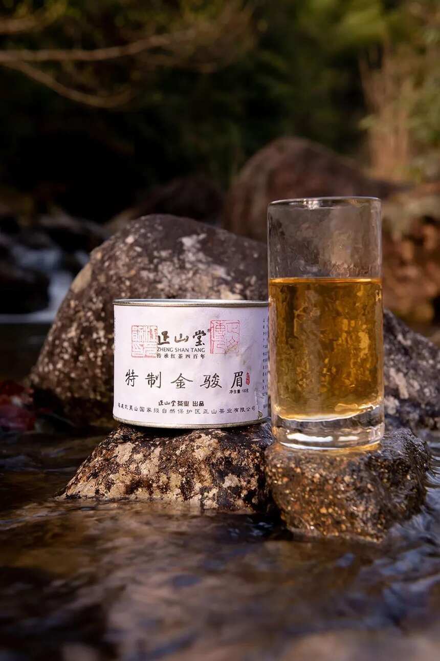 只因有茶，不停的在行走茶路