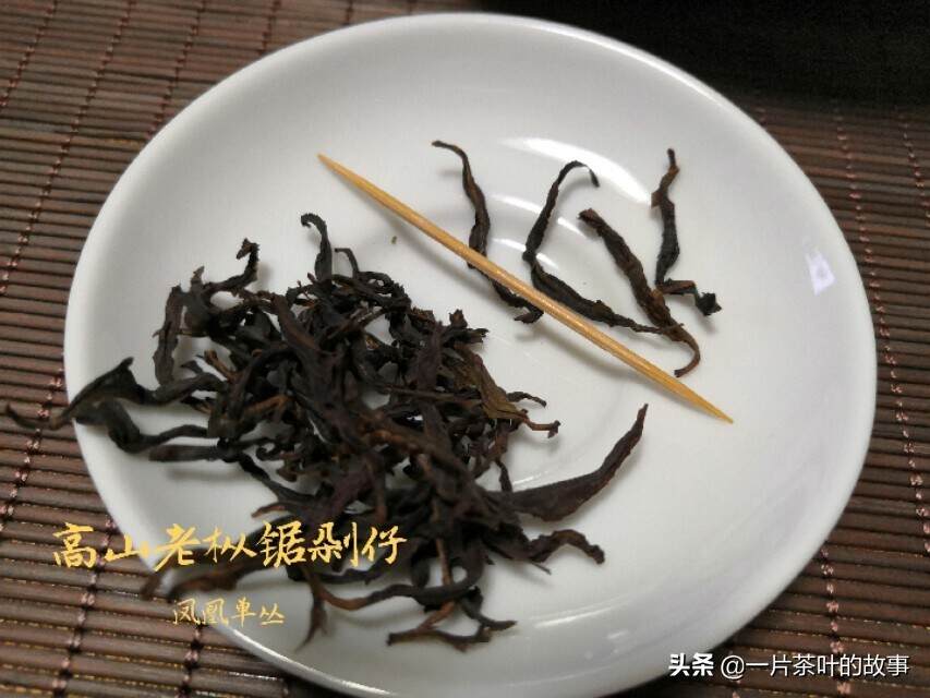 乌龙茶｜这些经典的凤凰单丛茶香型，你一定要尝尝