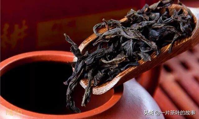 到底什么样的茶，才算是浓茶？