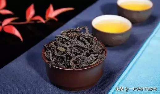 年节喝茶，请牢记这些“健康小贴士”