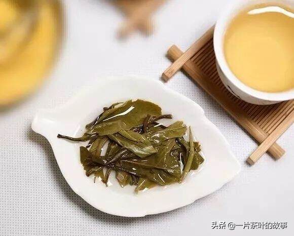 普洱生茶，什么时候最好喝？