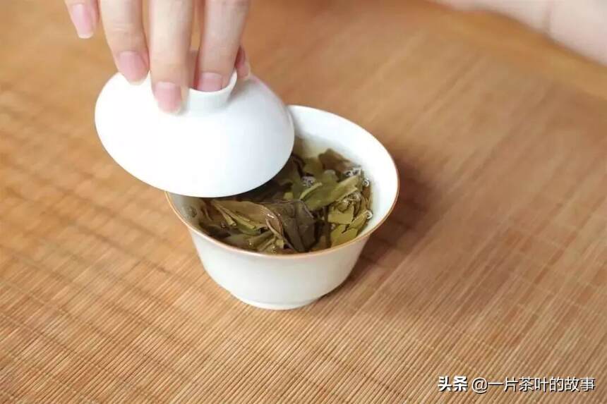 为什么劝你别玩茶？