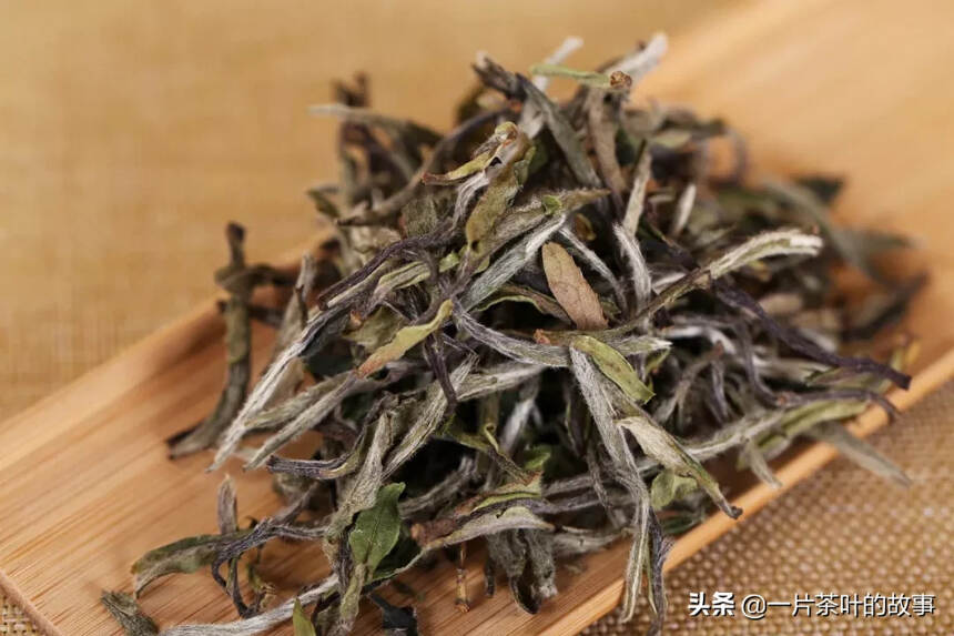 这些一直流传的“茶谣言”，是时候知道真相了