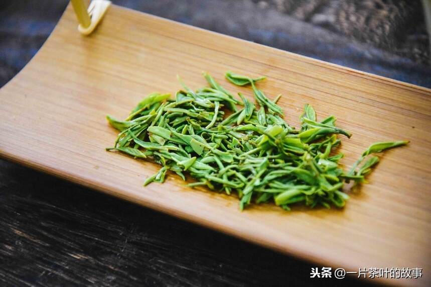 春茶的六大好处！难怪春茶那么贵