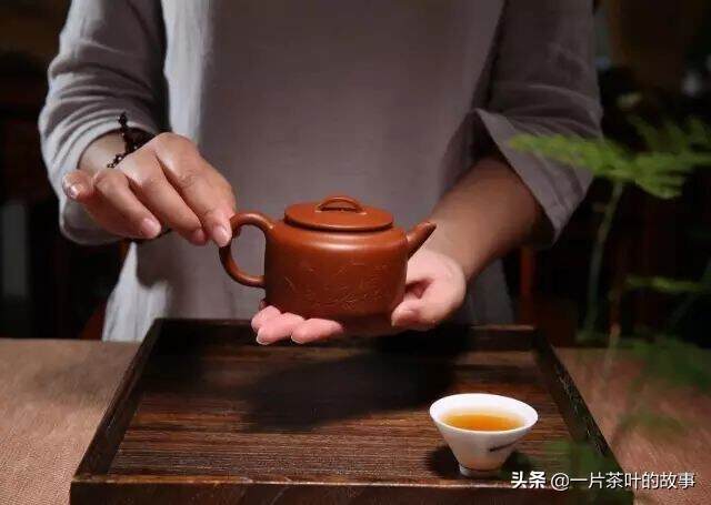 专家教你20条买茶经验（茶人必看）