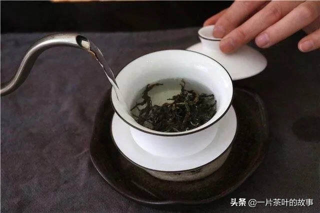 为什么喝茶都不喝第一泡？