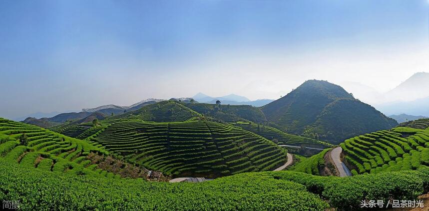 品茶时光｜懂茶妹告诉你：乌龙茶属于什么茶