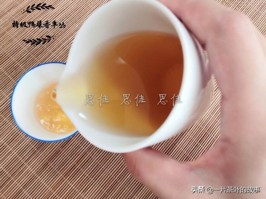 一杯凤凰单丛茶后，心也一片净土