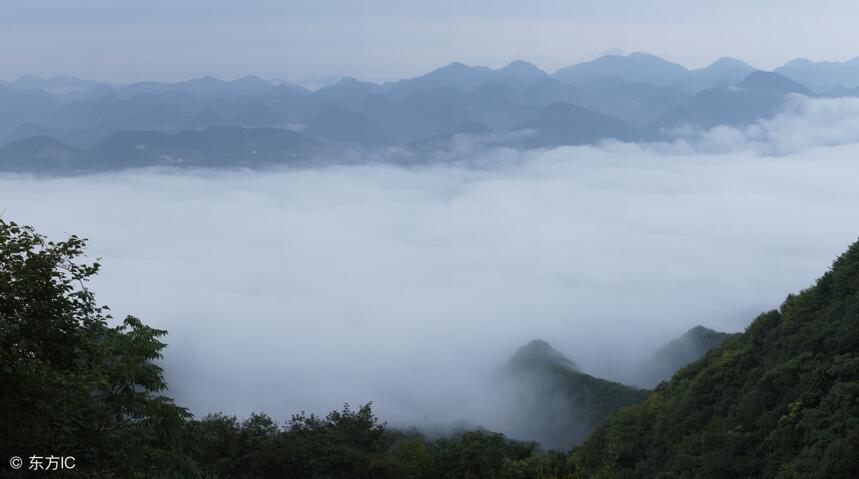 想喝好的铁观音，这些知识一定要懂