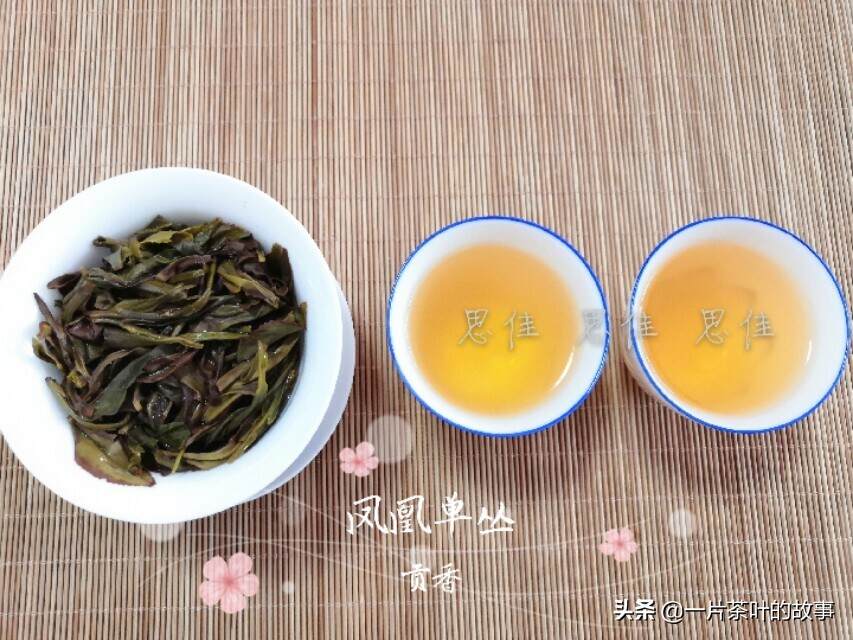 认识凤凰单丛茶，你喝的是哪个级别？