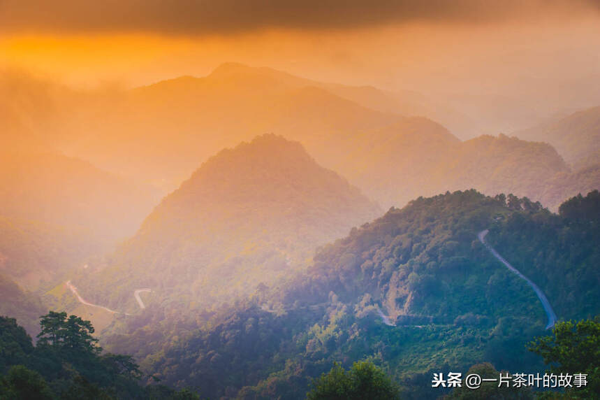 给自己一席空间，让茶回归宁静