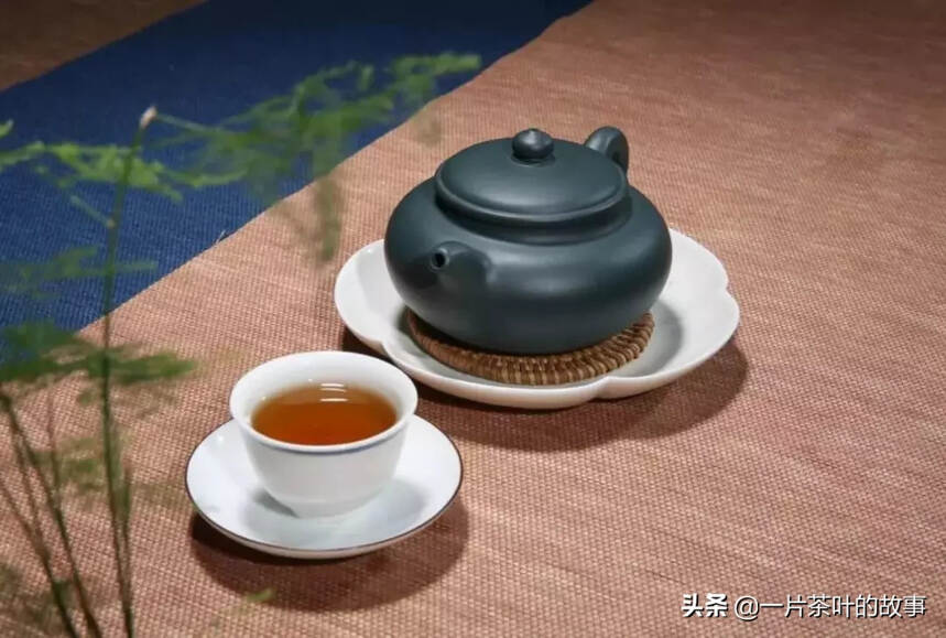 茶等懂它的人，人等倾心的茶