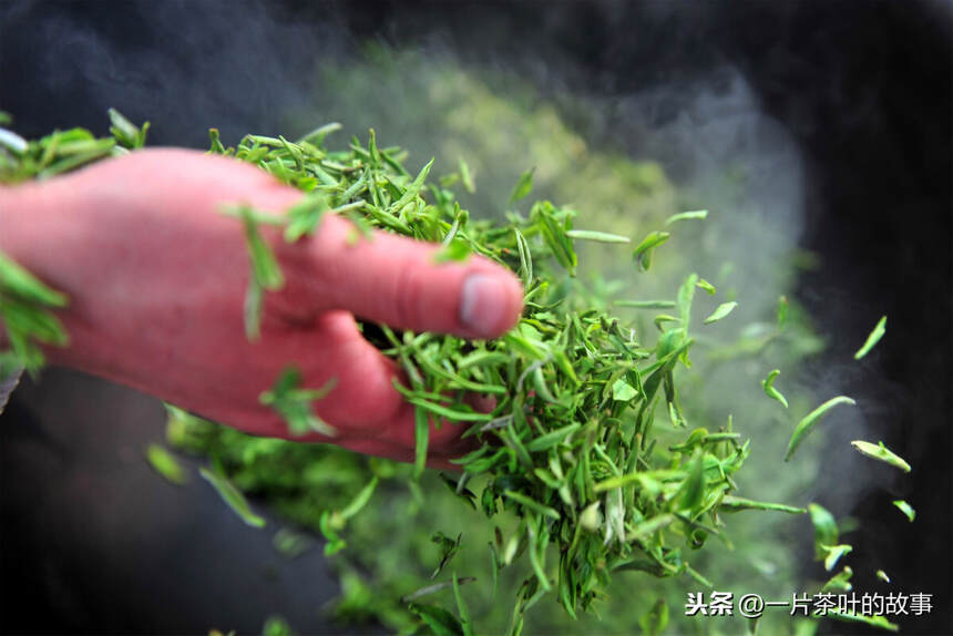 同一款茶，别人泡出来的口感那叫一个惊艳