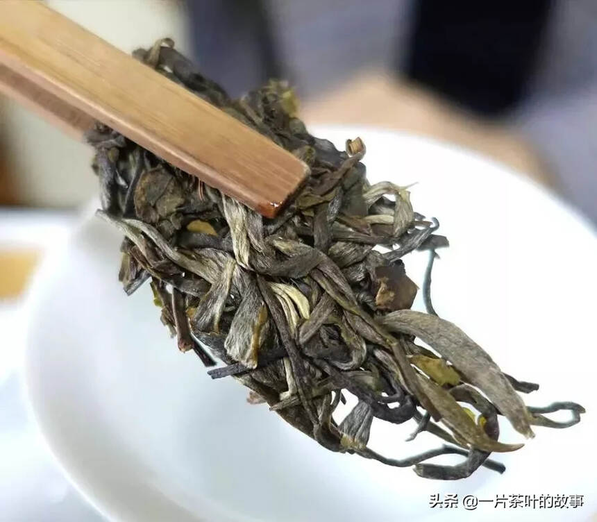 泡茶有学问，敬茶有修养，存茶有技巧