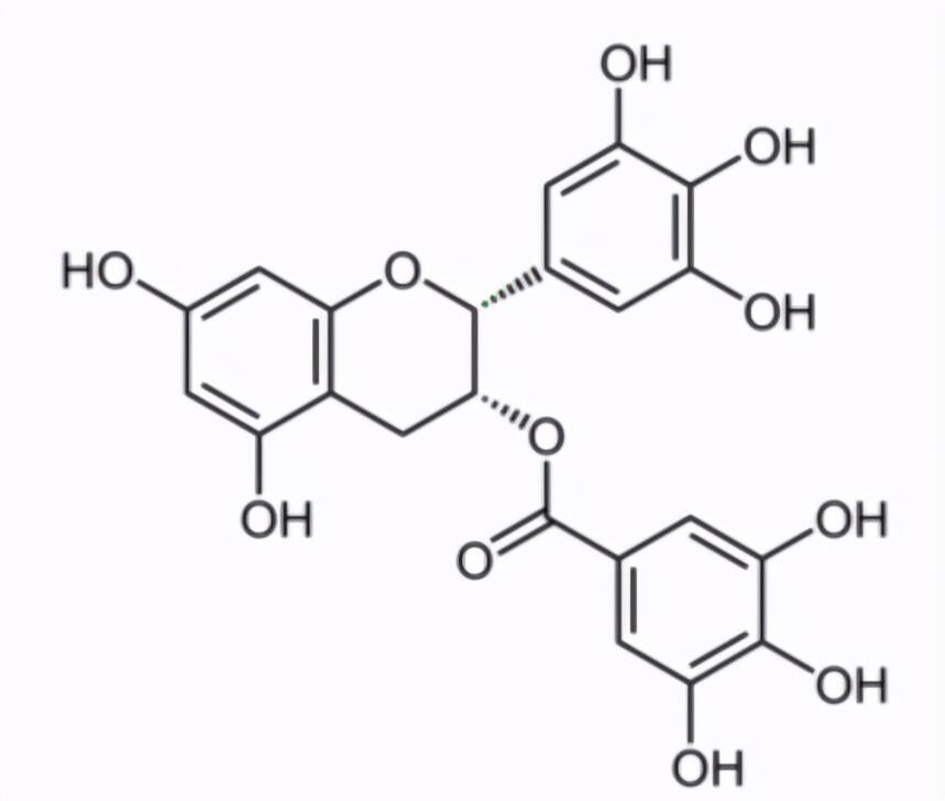 茶叶中的茶多酚是什么,它的保健功能:抗氧化,抗衰老,消炎杀菌等