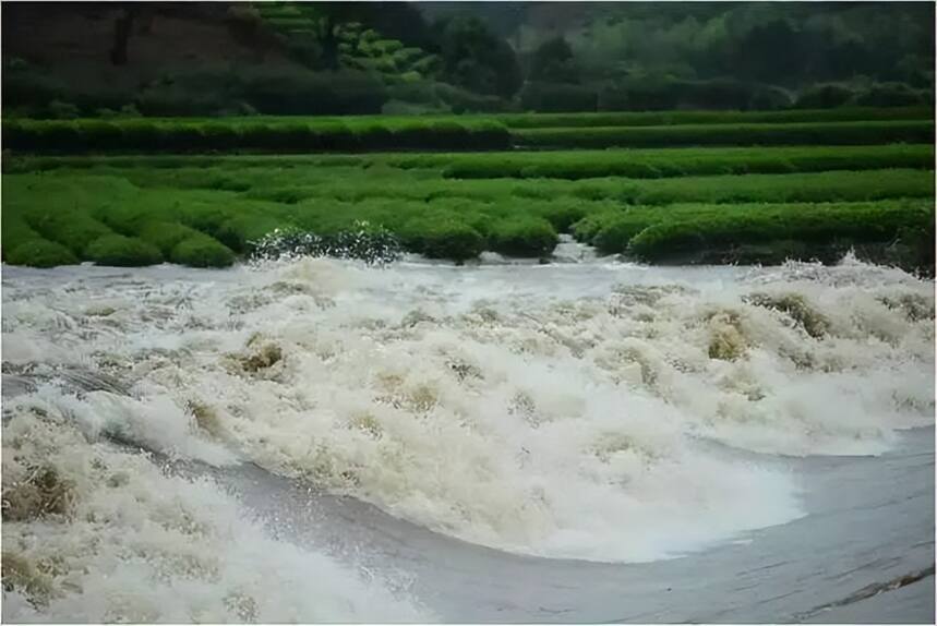 「提醒」茶区梅雨山洪期防灾应对提醒