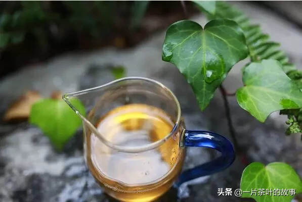 啜一口茶，品八味人生