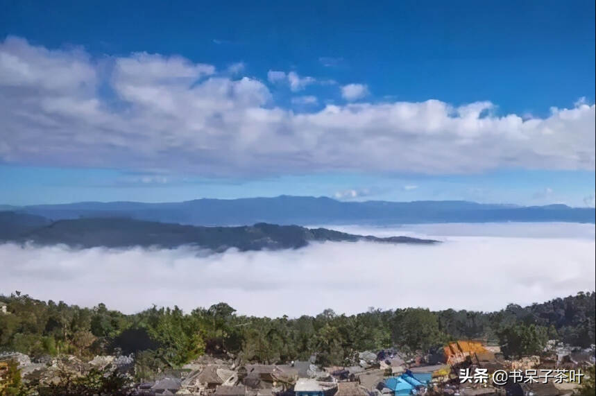 比丁真的世界更甜更野！景迈山千年万亩古茶林