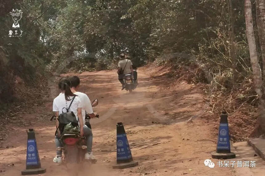 2020春茶行第2期 | 第十一站·天门山，大火之后的又一考验