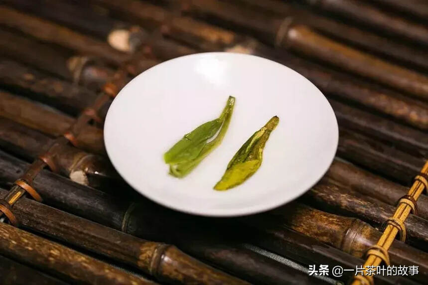 一般的判茶没那么复杂，看这五点就够了