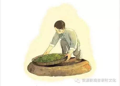 早期铁观音是怎么加工的？