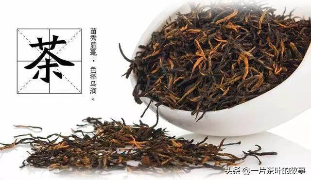 一次性把祁门红茶讲清楚（建议收藏）