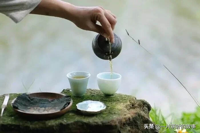 听茶，灵动时光