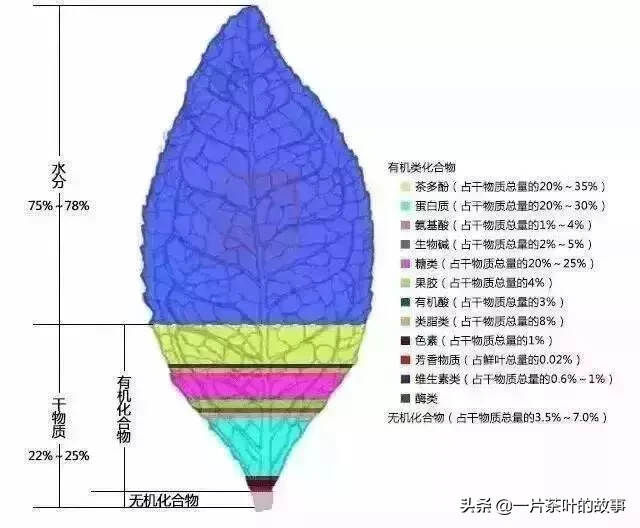 我看过的茶叶入门知识，就这篇最靠谱