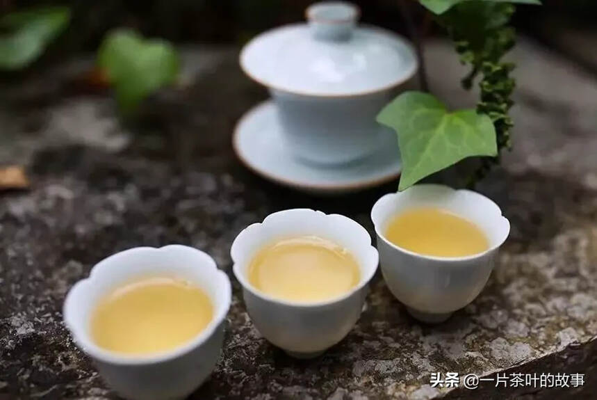 啜一口茶，品八味人生