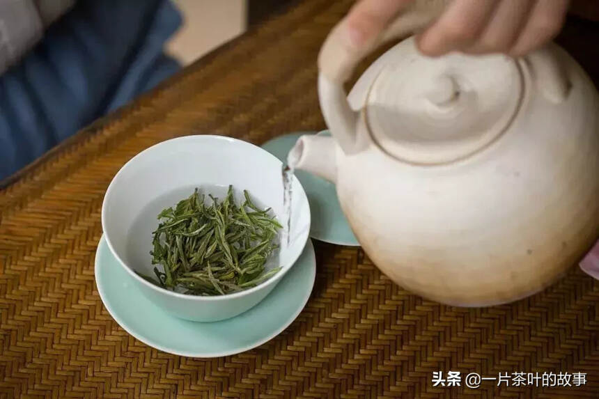 绿茶｜生长在天下第一奇山里的茶，也是天下第一吗？