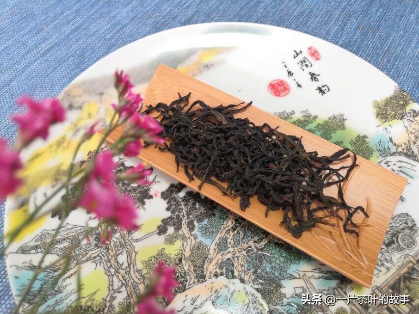 青茶｜凤凰单丛是什么茶呢？