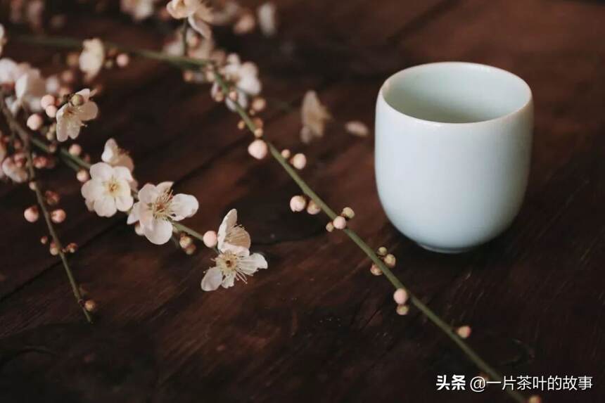 十二时辰茶里，藏着你最短暂的人生