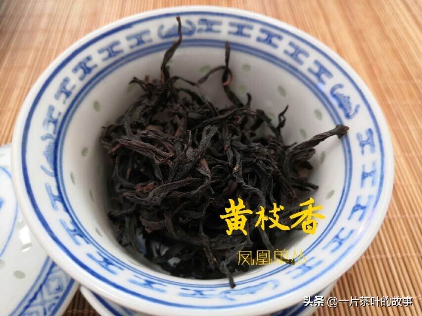 乌龙茶｜这些经典的凤凰单丛茶香型，你一定要尝尝