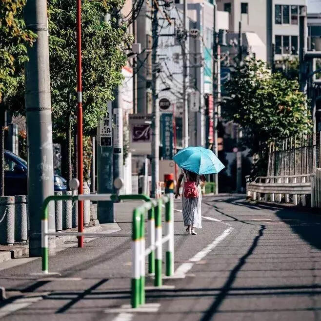 今日降温，宜暖胃