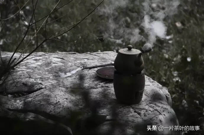 有一種期盼叫春茶