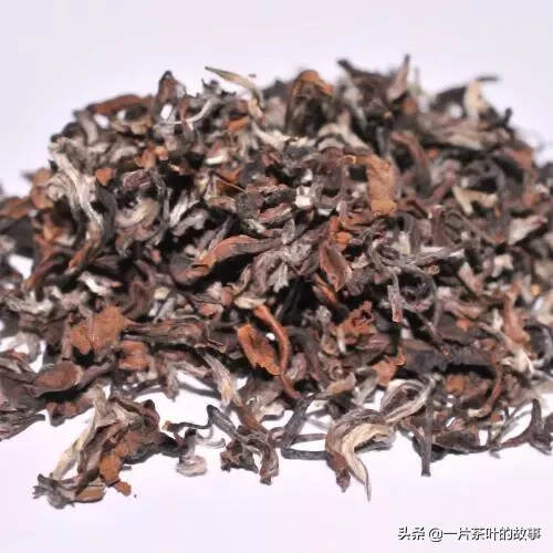 最知名的十大乌龙茶，你知道几个？