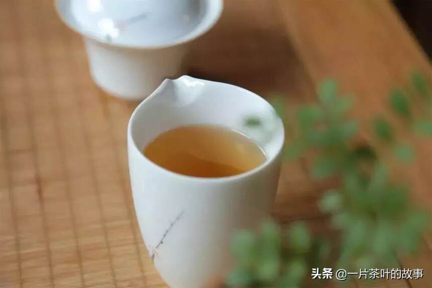 为什么劝你别玩茶？