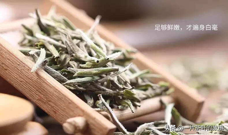 茶中江湖的六大门派